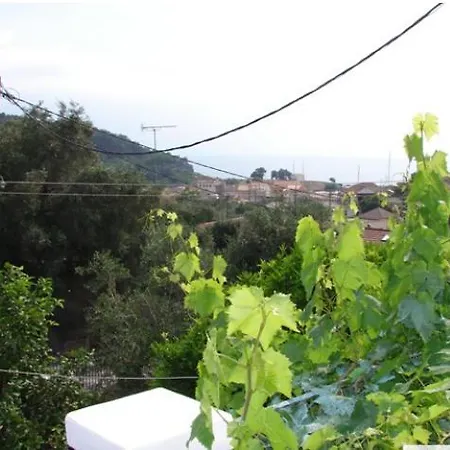 Harry's 1 가이오스